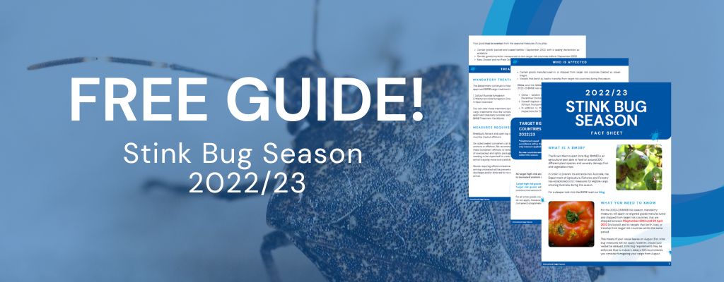 The Ultimate Stink Bug Season Guide [2022/23 Update]