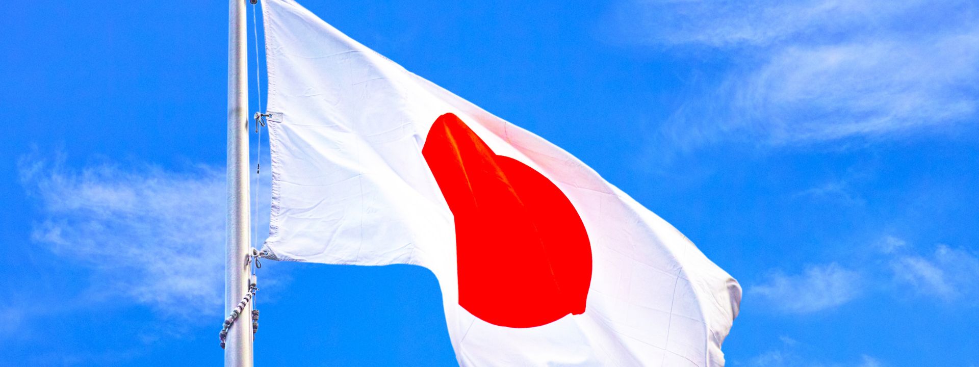 A Complete Look at The Japanese Market for Exporters: Trade Volumes, Top Commodities and Statistics