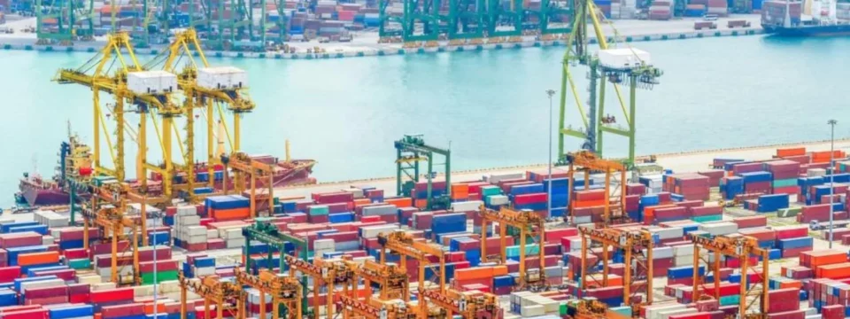 Your Shipping Quote: A Break Down of All Sea Freight Costs