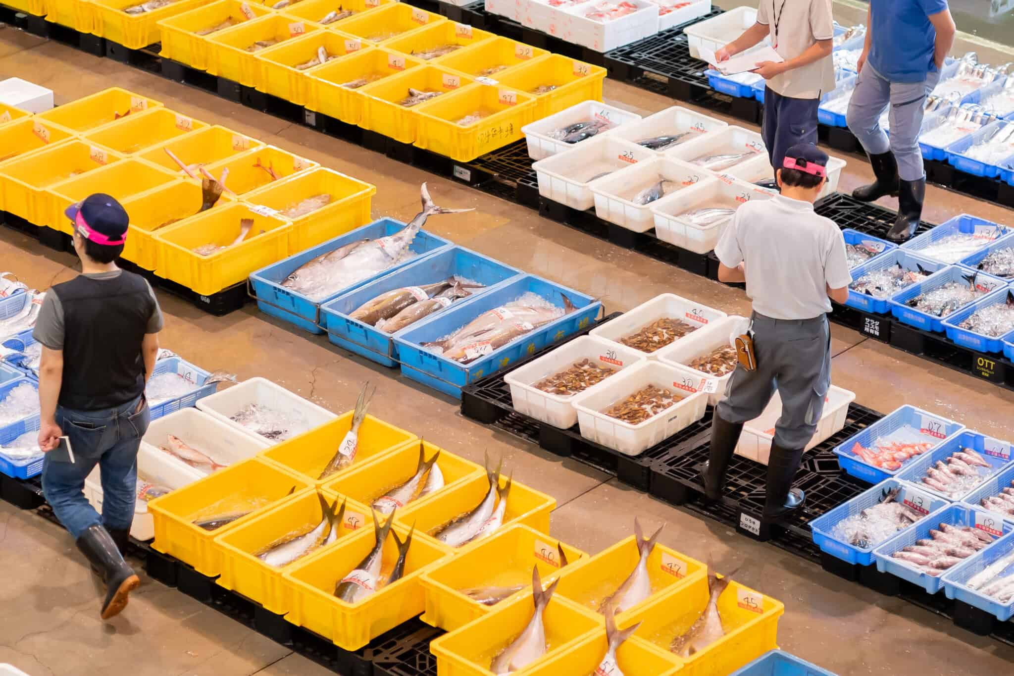 japanese-fish-market-2048x1365