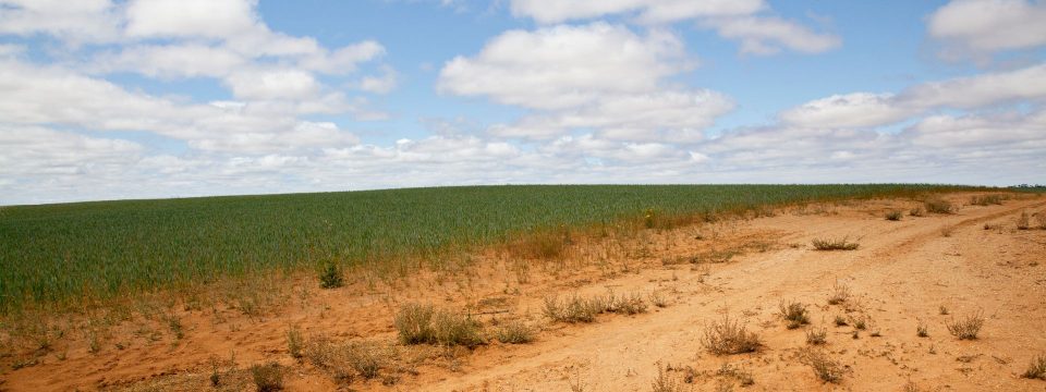 Rural Tailgates: 5 Hot Tips For Importing to Remote Australia