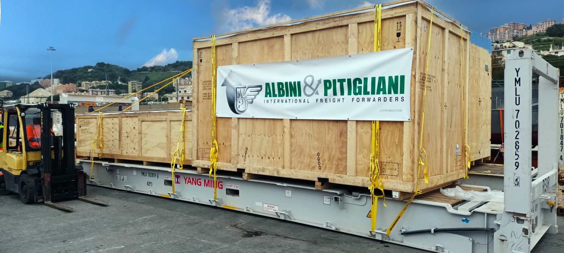 Albini Pitigliani (Alpi) freight large crate on flatrack