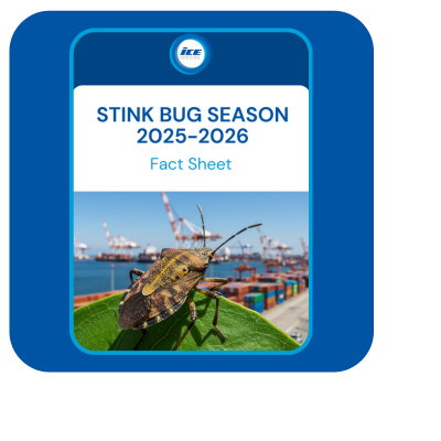 Stink Bug Season 2025-26 FACT SHEET thumbnail