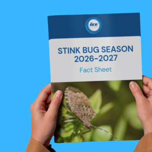 thumbnail stink bug fact sheet